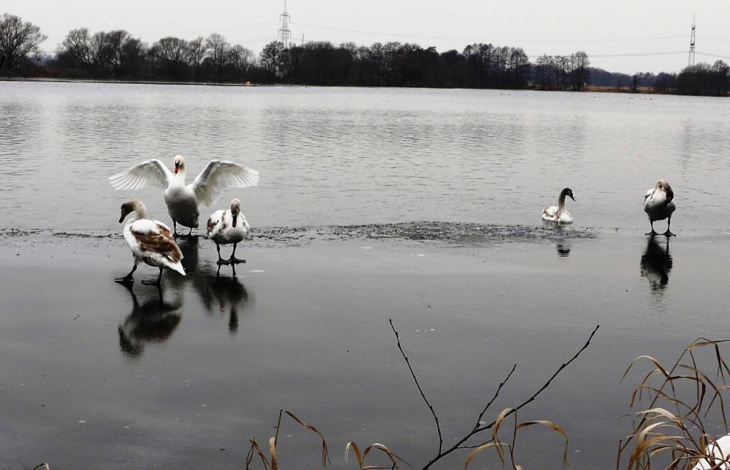 Ferienwohnung "Alte Fischerei" Ketzin Exteriér fotografie